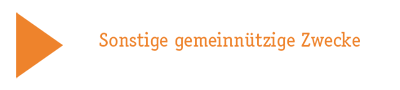 Stiftungszweck IX