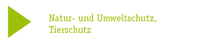 Stiftungszweck VIII